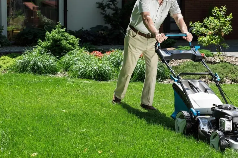 Can You Mow Wet Grass in Miami Gardens, FL