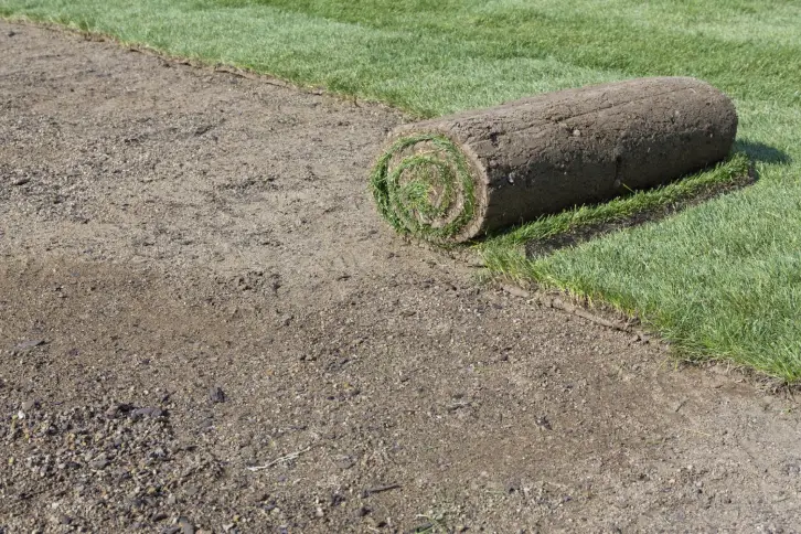 How Long After Installing Sod Can You Walk On It Miami Gardens, FL