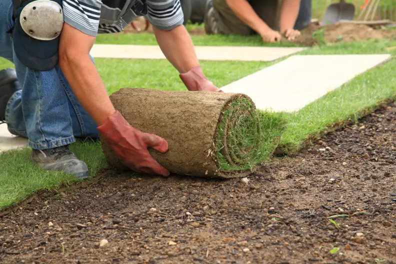 How Long After Installing Sod Can You Walk On It in Miami Gardens, FL