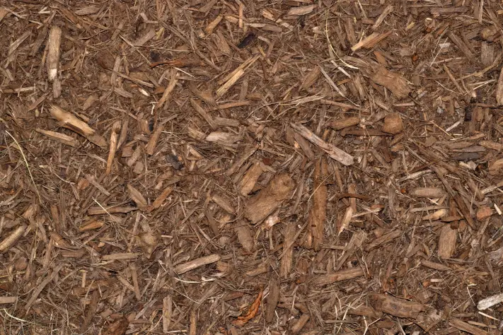 How Long Does Mulch Last Miami Gardens, FL