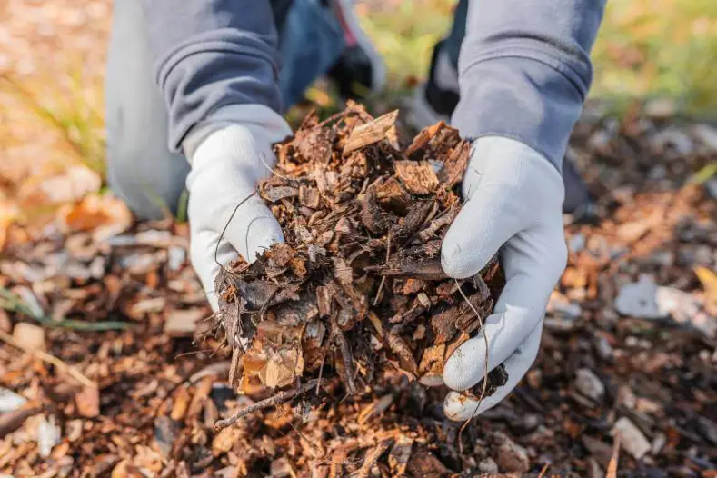 How Long Does Mulch Last in Miami Gardens, FL