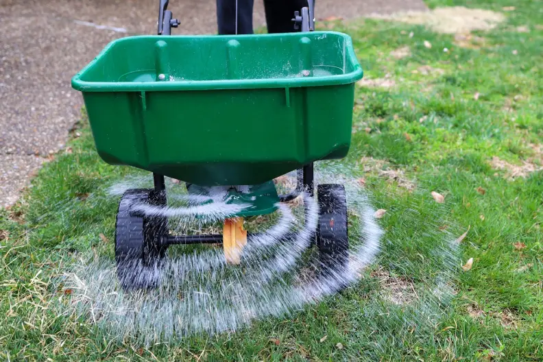 How Often Should You Fertilize Your Lawn in Miami Gardens, FL