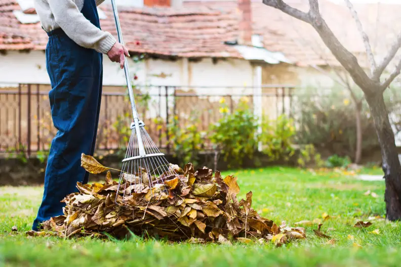 How To Clean A Backyard in Miami Gardens, FL