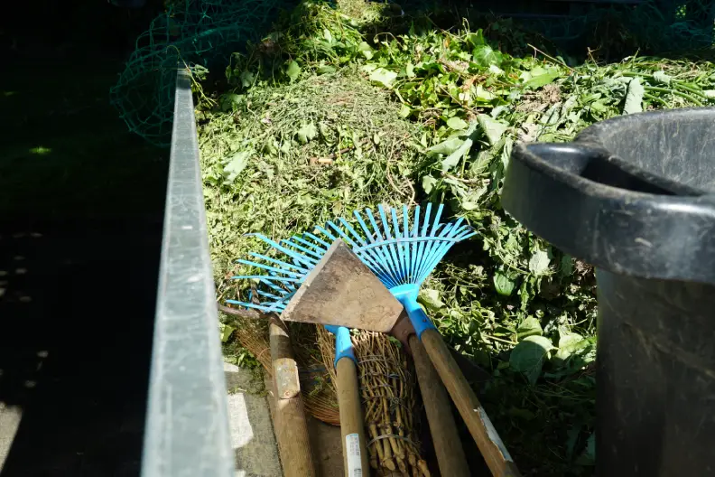 How to Clear a Yard Full of Weeds Miami Gardens, FL