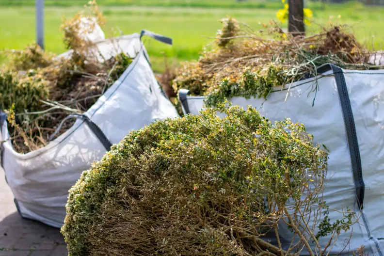 How to Clear a Yard Full of Weeds in Miami Gardens, FL