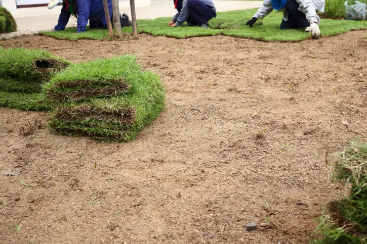 Sod Installation Miami Gardens, FL