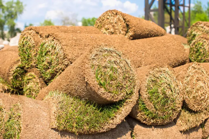 Sod Installation in Miami Gardens, FL