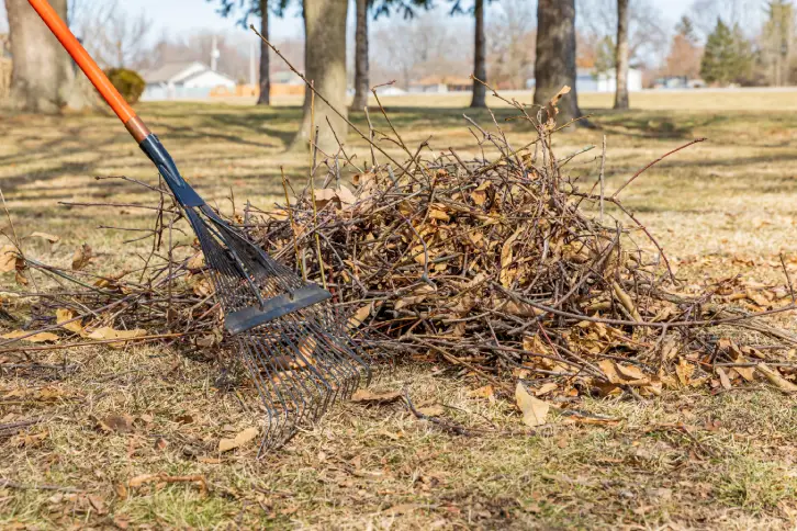 Yard Cleanup in Miami Gardens, FL - Landscaper