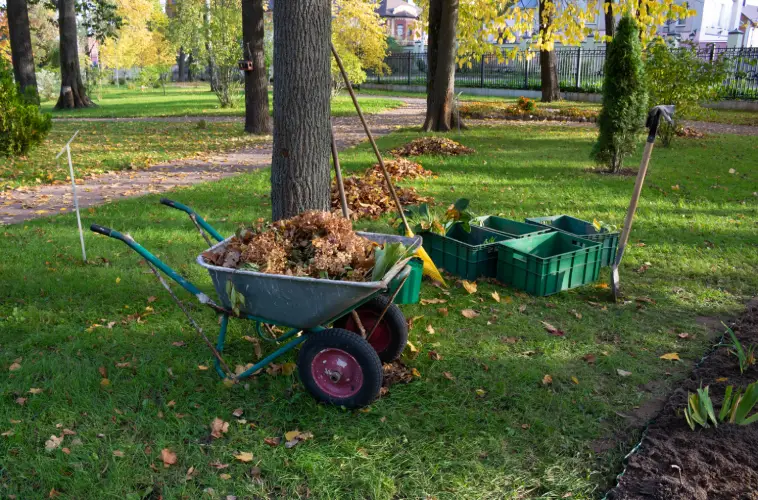 Yard Cleanup in Miami Gardens, FL